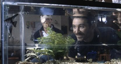 Un Poisson nommé Wanda