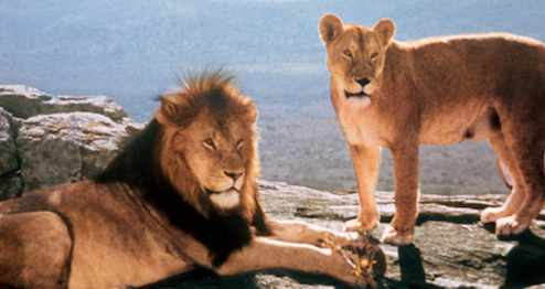 Born Free