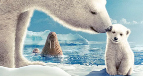 Arctic Tale - Film | Park Circus