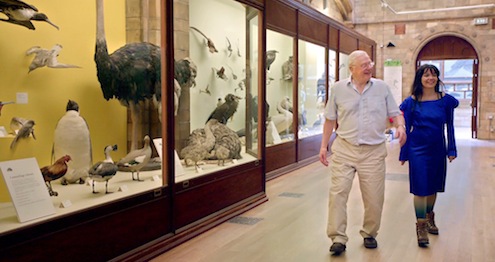 When Bjork Met Attenborough