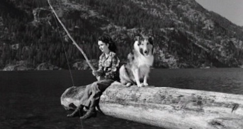 Lassie Come Home. 1943. Directed by Fred M. Wilcox