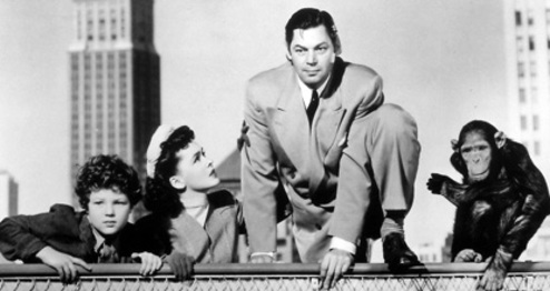 Tarzan's New York Adventure Film Park Circus