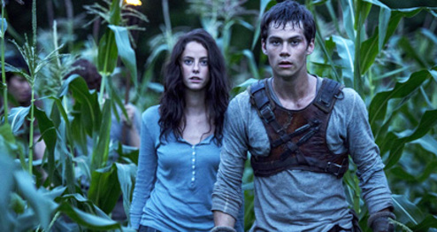 The Maze Runner Year : 2014 USA Director : Wes Ball Thomas Brodie